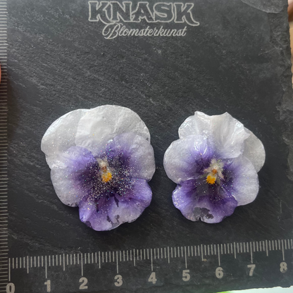 ÅSE FIOL smykke - ekte tørket stemorsblomst