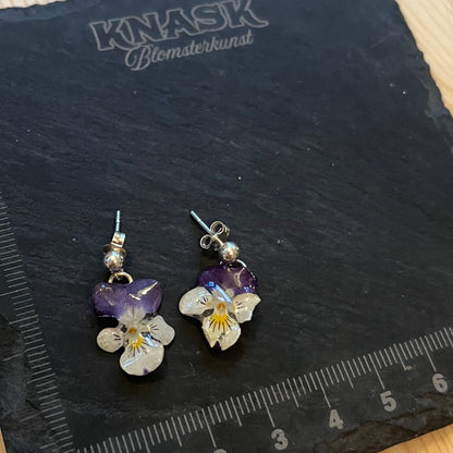 NATT OG DAG FIOLER øredobber - ekte tørkede blomster, sølv