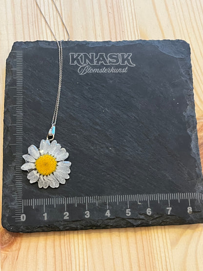 MARGERITT smykke - ekte tørket blomst