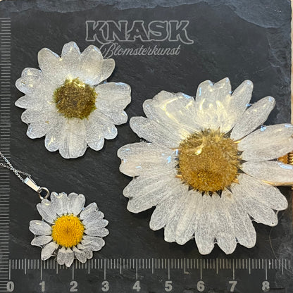 MARGERITT hårspenne - ekte tørket blomst