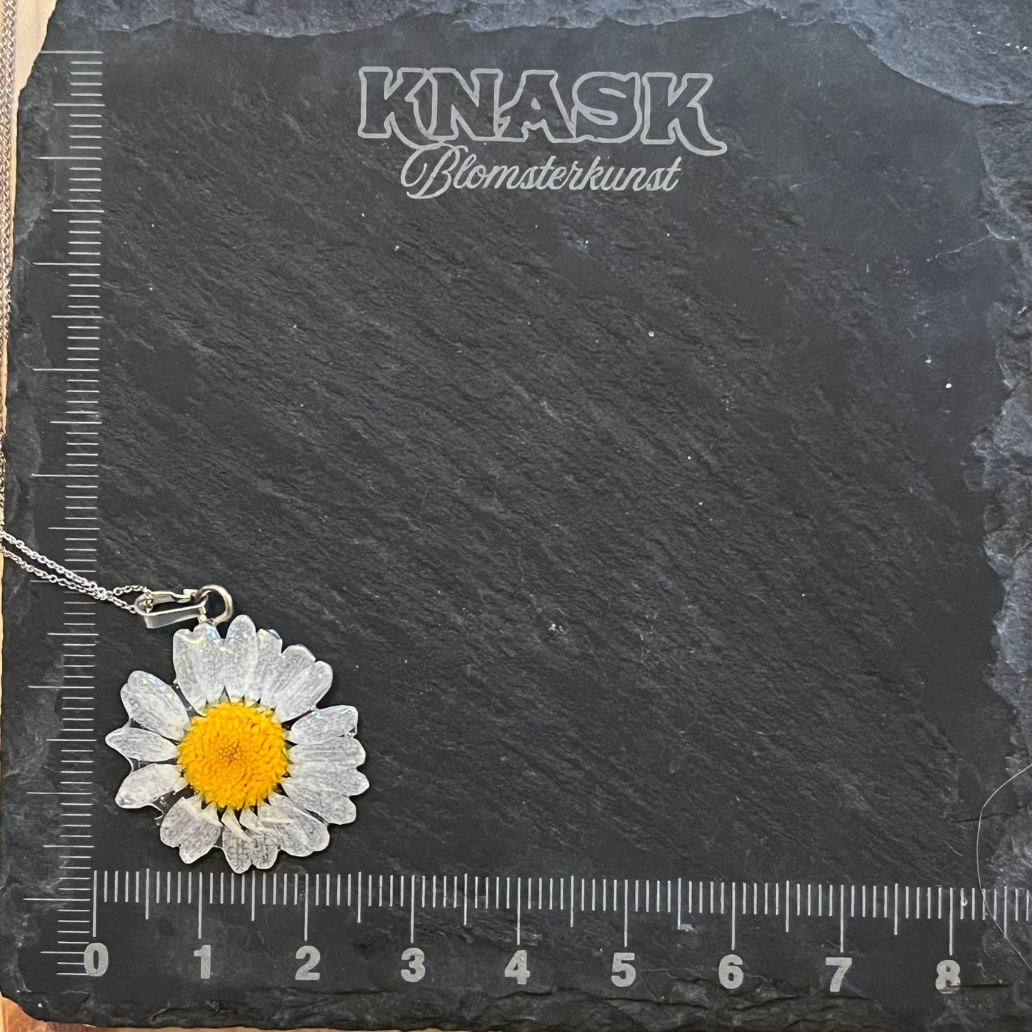 MARGERITT smykke - ekte tørket blomst