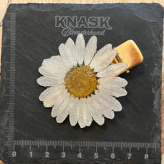 PRESTEKRAGE hårspenne - ekte tørket blomst