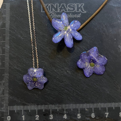 BLÅVEIS smykke - ekte tørket blomst