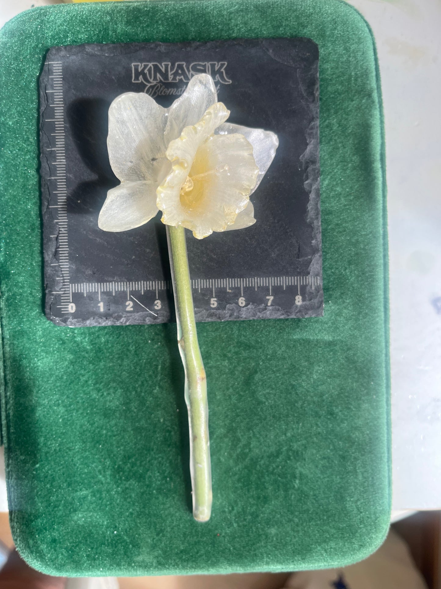 PINSELILJE hårpynt - ekte tørket blomst, hårnål eller hårspenne