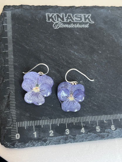 PASTELL MINI FIOLER øredobber - ekte tørkede blomster, stemorsblomst, sølv