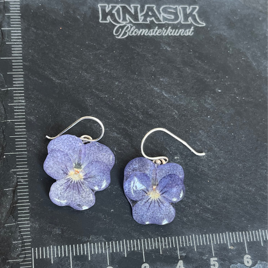 PASTELL MINI FIOLER øredobber - ekte tørkede blomster, stemorsblomst, sølv