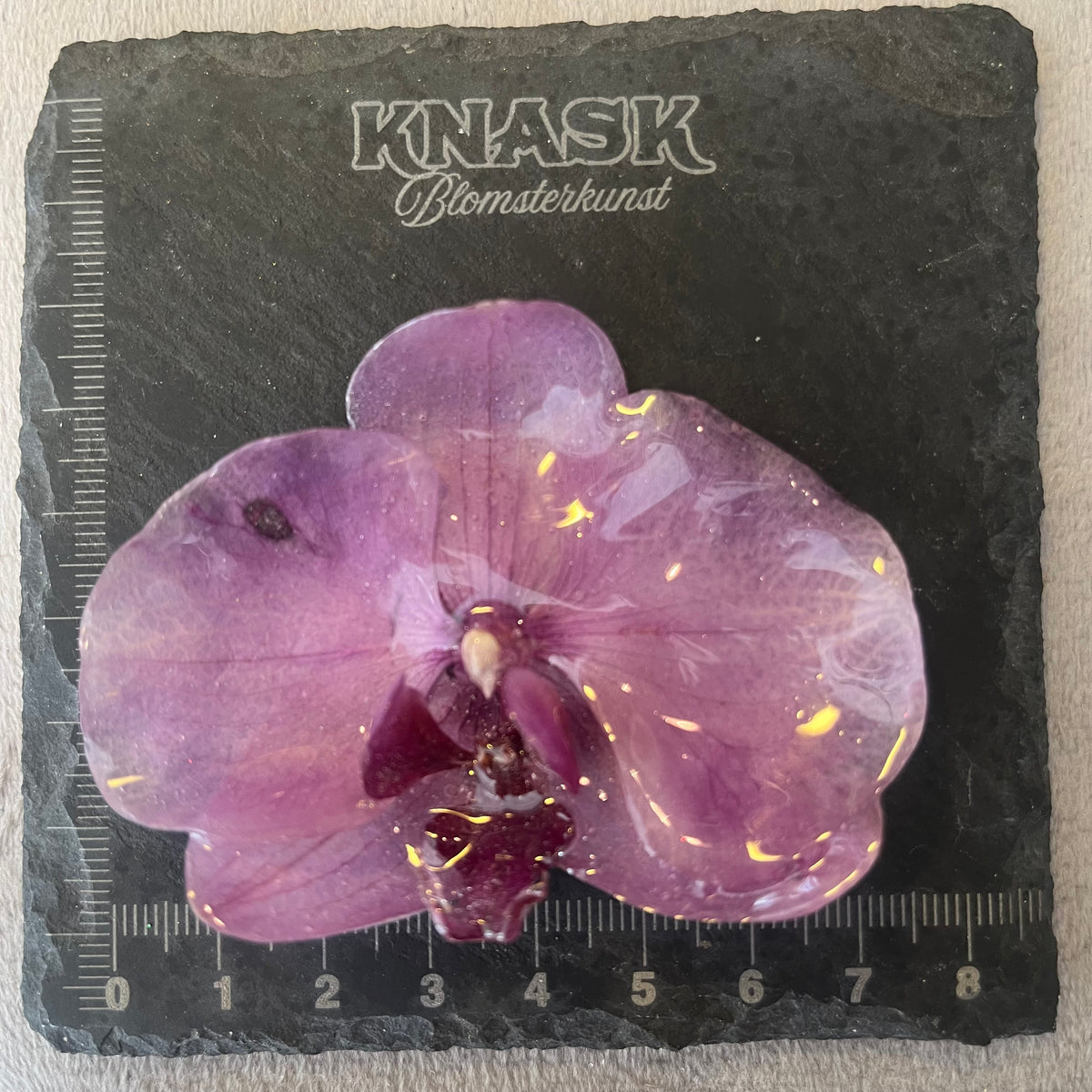 EROTISK ORKIDÉ smykke - ekte tørket blomst