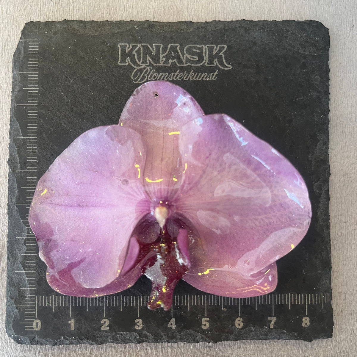 EROTISK ORKIDÉ smykke - ekte tørket blomst