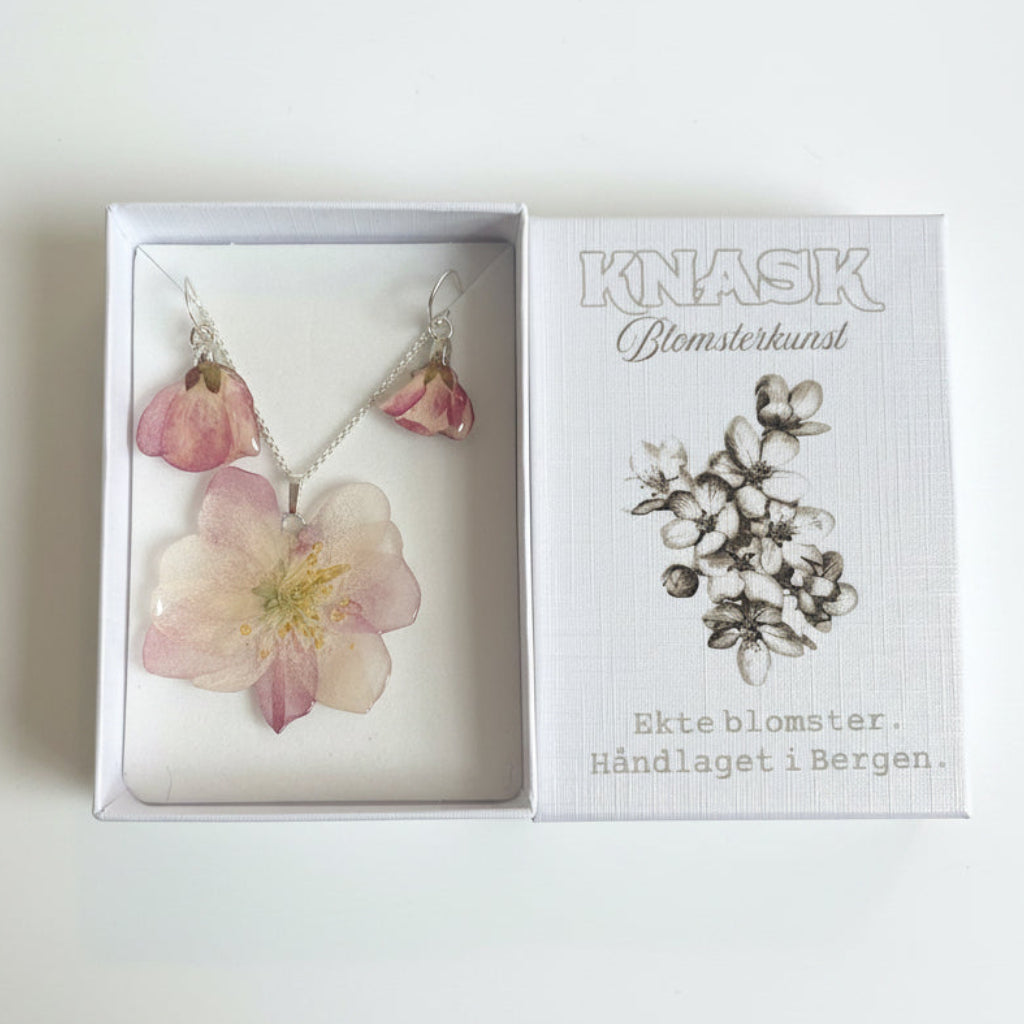 EPLEBLOMST gavesett - ekte tørkede blomster, sølv, gravert gaveeske