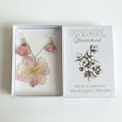 EPLEBLOMST gavesett - ekte tørkede blomster, sølv, gravert gaveeske