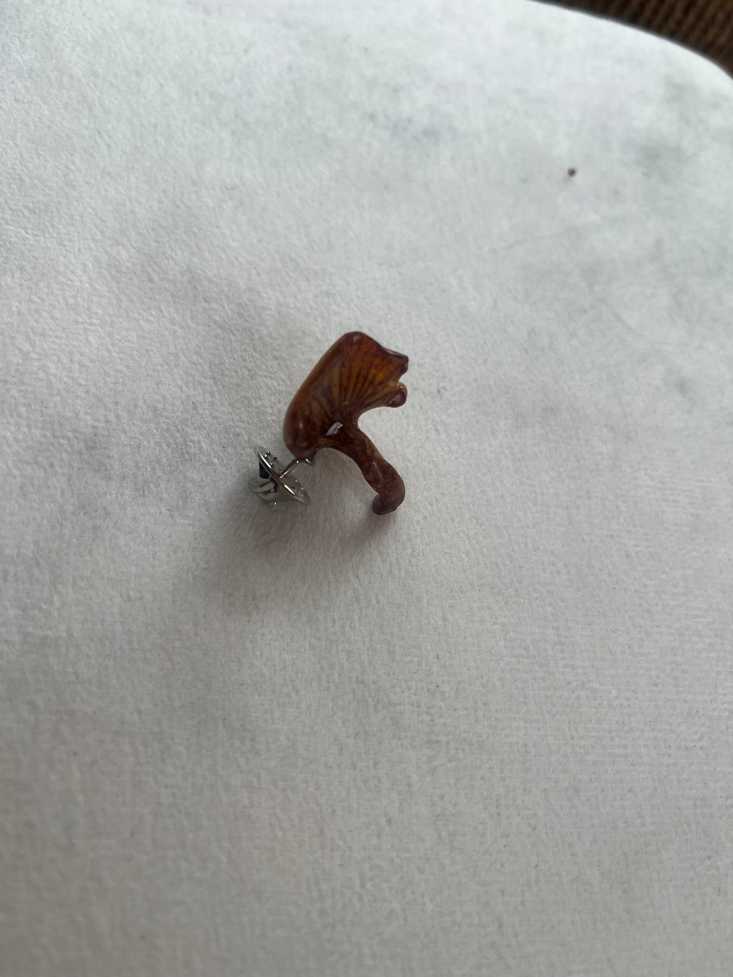 KANTARELL brosje pins, ekte 3D-tørket sopp