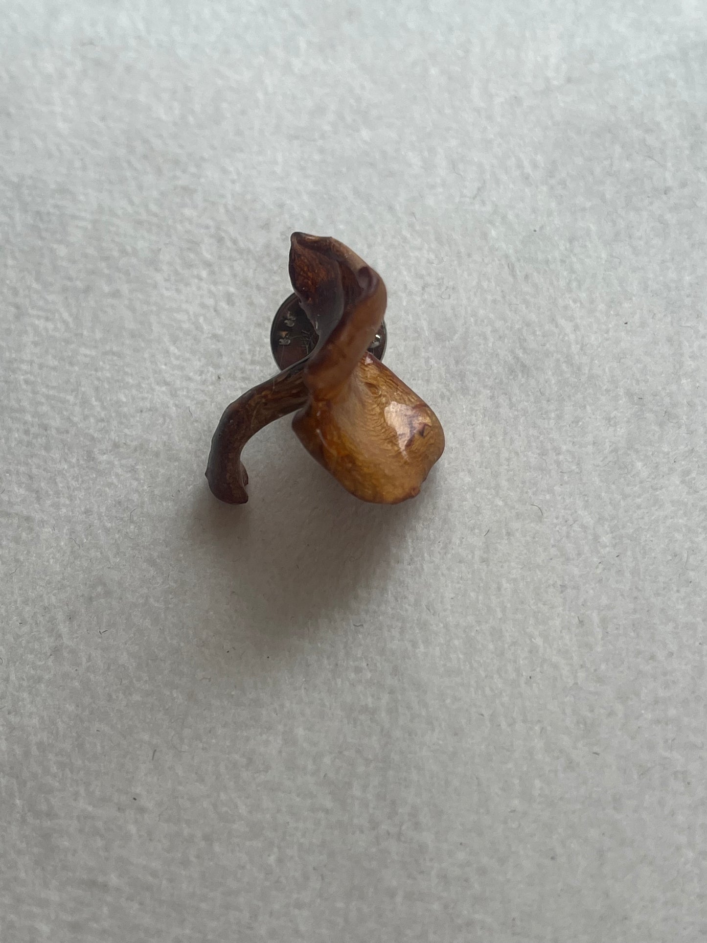 KANTARELL brosje pins, ekte 3D-tørket sopp
