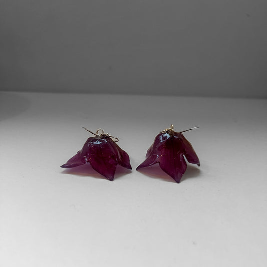 BLODBEGER øredobber, ekte 3D-tørkede blomster, 925 sølv