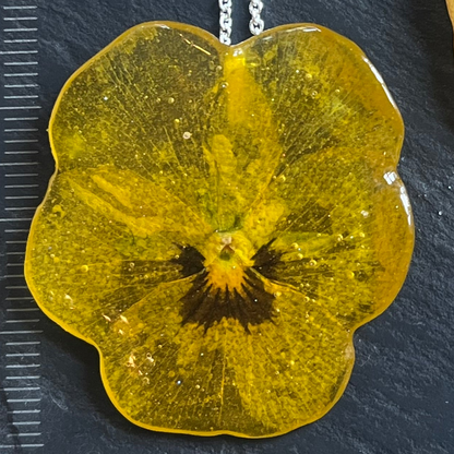 SAFTIG FIOL smykke - ekte tørket blomst