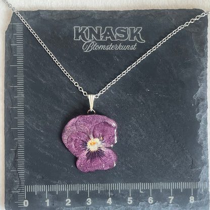 SAFTIG FIOL smykke - ekte tørket blomst