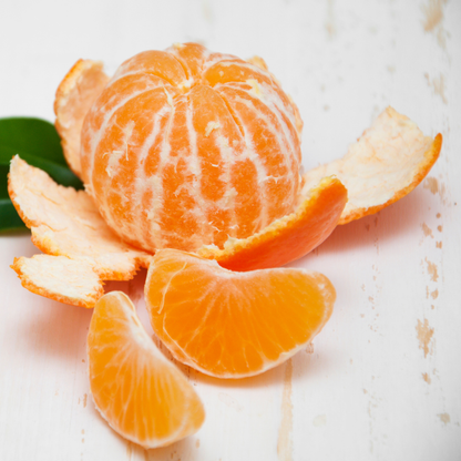 KLEMENTIN øredobber - ekte tørket frukt