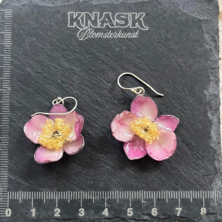 ANEMONE øredobber - ekte tørkede blomster - Øredobber KNASK