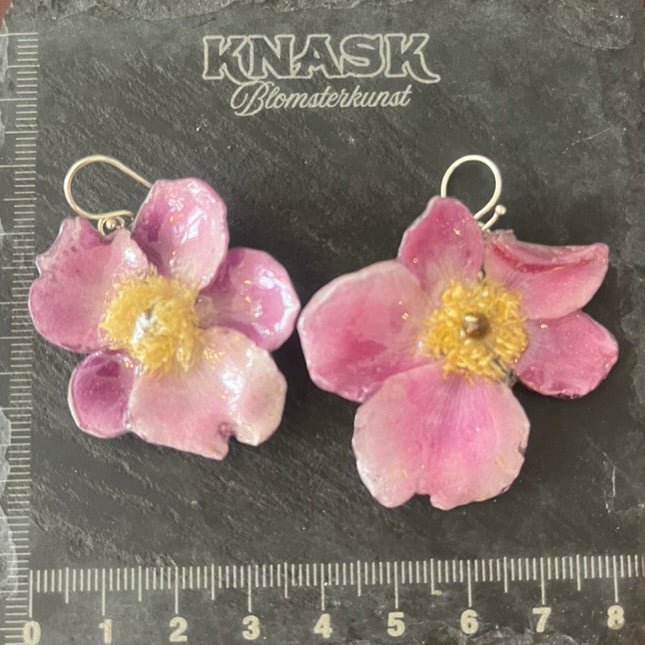 ANEMONE øredobber - ekte tørkede blomster - Øredobber KNASK