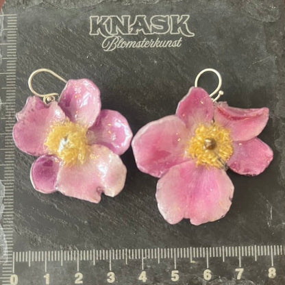 ANEMONE øredobber - ekte tørkede blomster - Øredobber KNASK