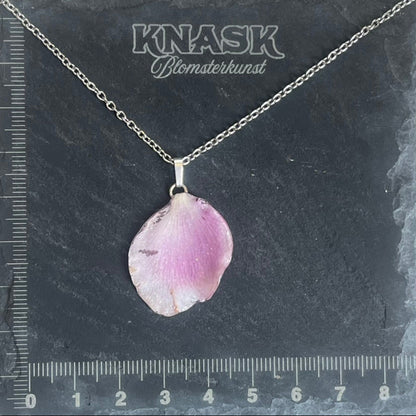 ANEMONE øredobber - ekte tørkede blomster - Øredobber KNASK