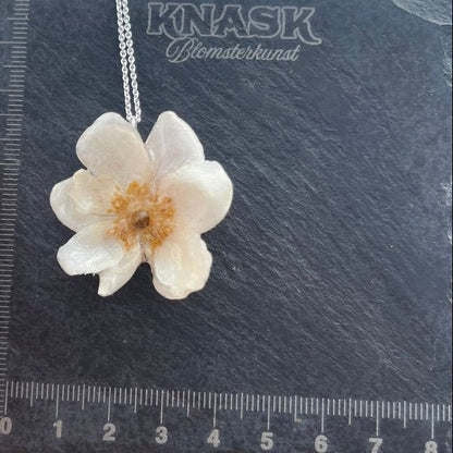 ANEMONE øredobber - ekte tørkede blomster - Øredobber KNASK