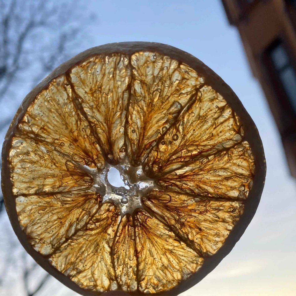 Appelsin-smykke, ekte tørket frukt, metall eller sølvkjede - KNASK