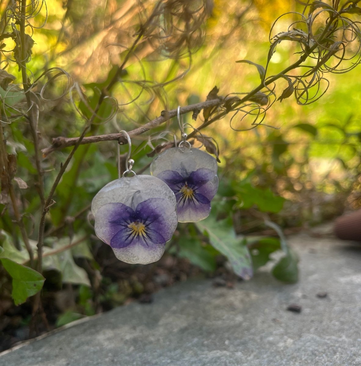 ÅSE fiol øredobber, ekte tørkede blomster Viola tricolor, 925 sølv - Øredobber KNASK
