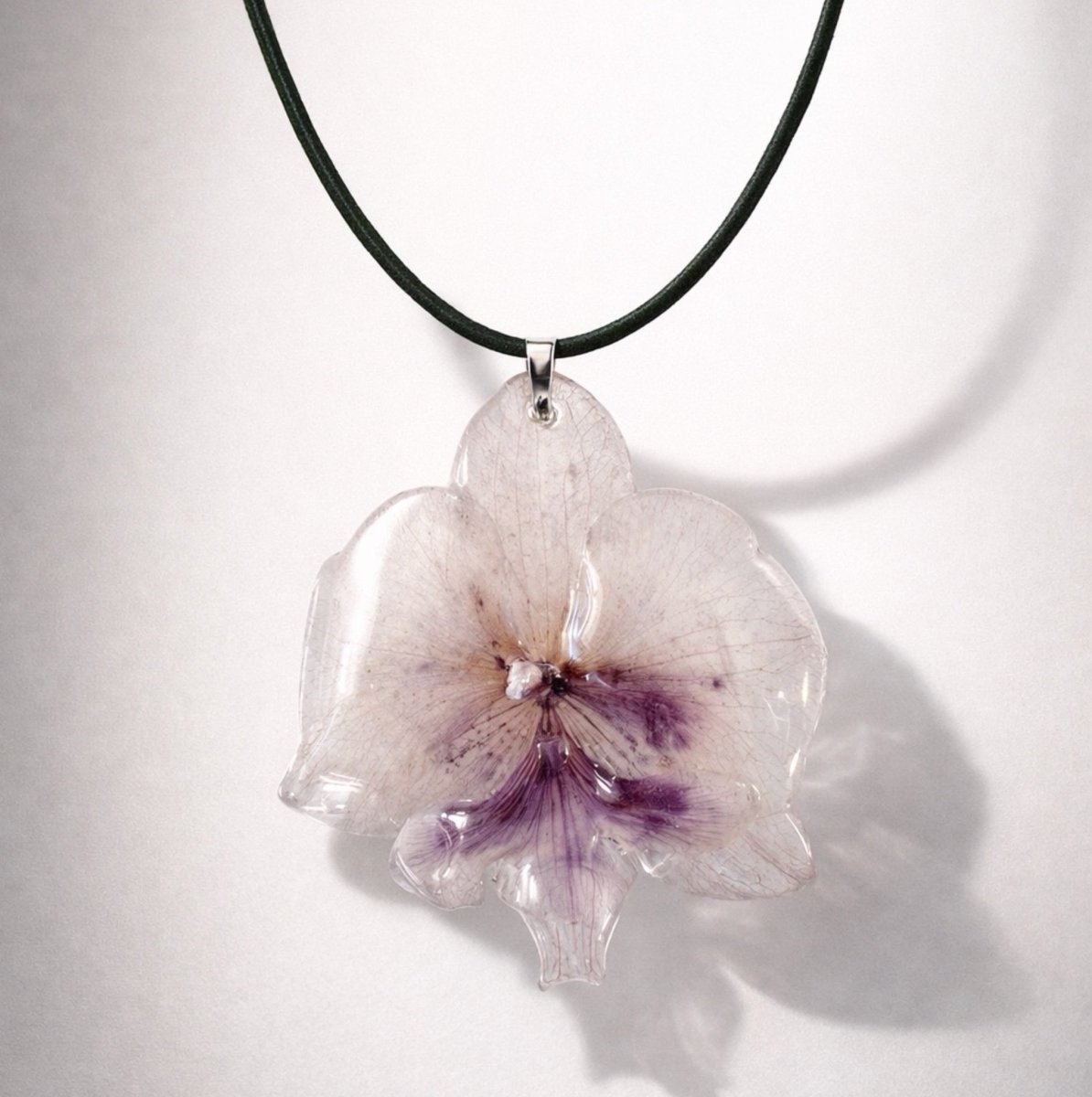 ATELIER ORKIDÉ - ekte tørket blomst fra Atelier Flora - KNASK