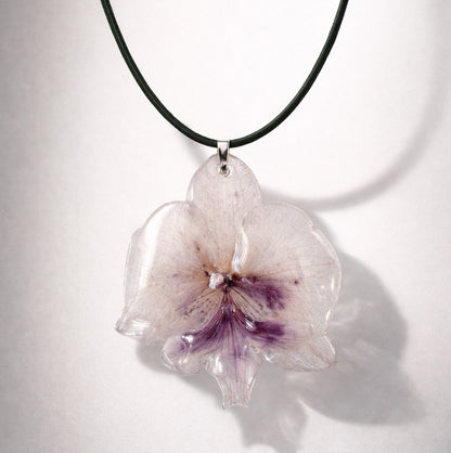 ATELIER ORKIDÉ - ekte tørket blomst fra Atelier Flora - KNASK