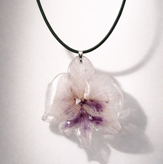 ATELIER ORKIDÉ - ekte tørket blomst fra Atelier Flora - KNASK