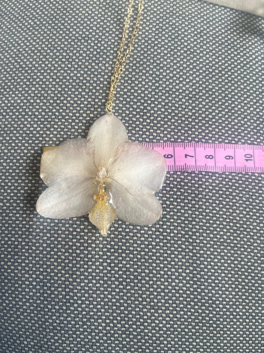 BEIGE ORKIDÉ blomstersmykke, ekte 3D-tørkrt blomst, 925 sølvkjede - KNASK
