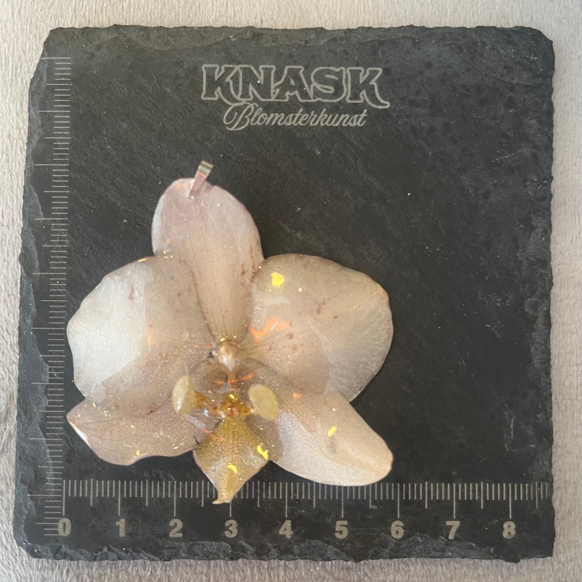 BEIGE ORKIDÉ smykke - ekte tørket blomst - Smykke KNASK