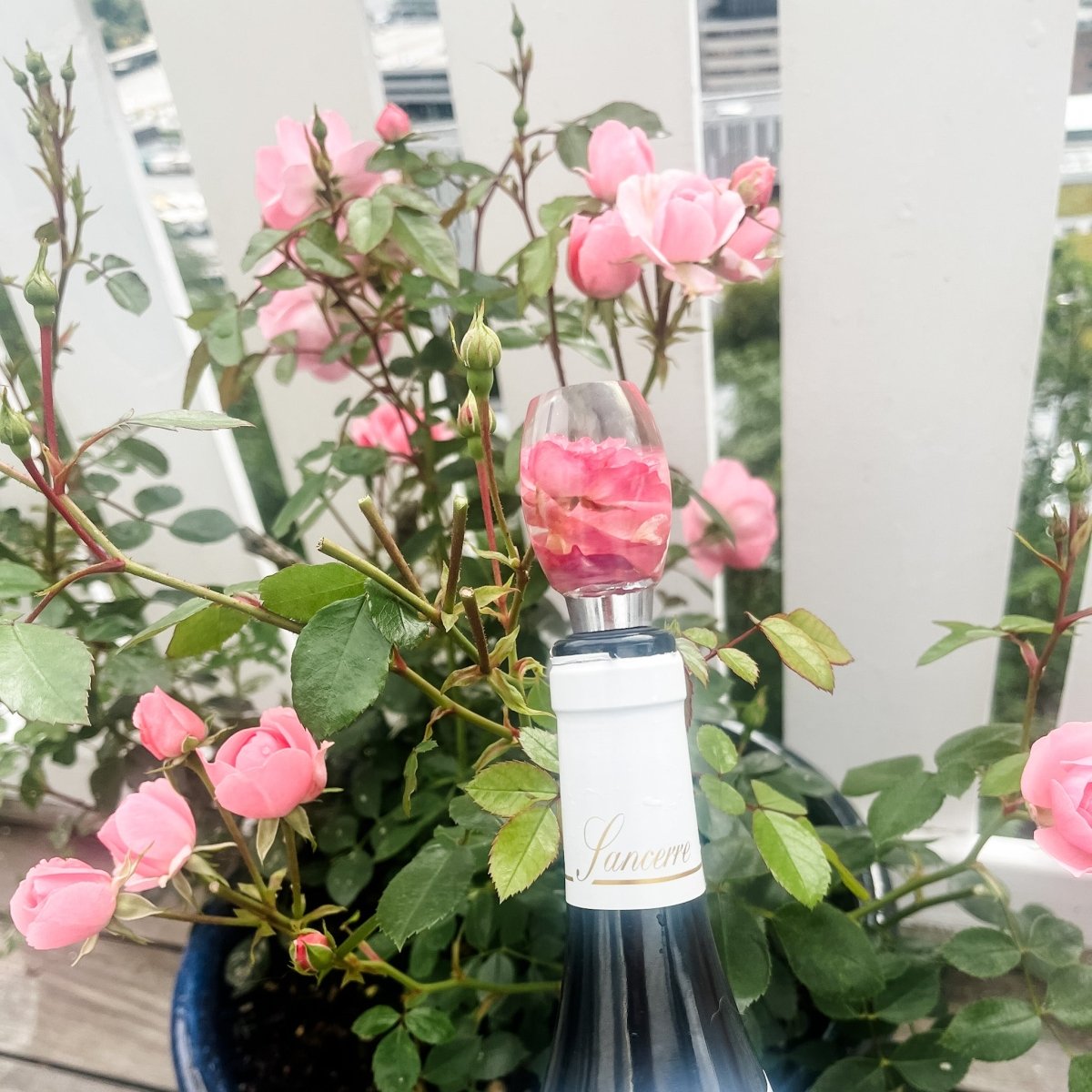 Bergen Bobler POP - UP - KNASK