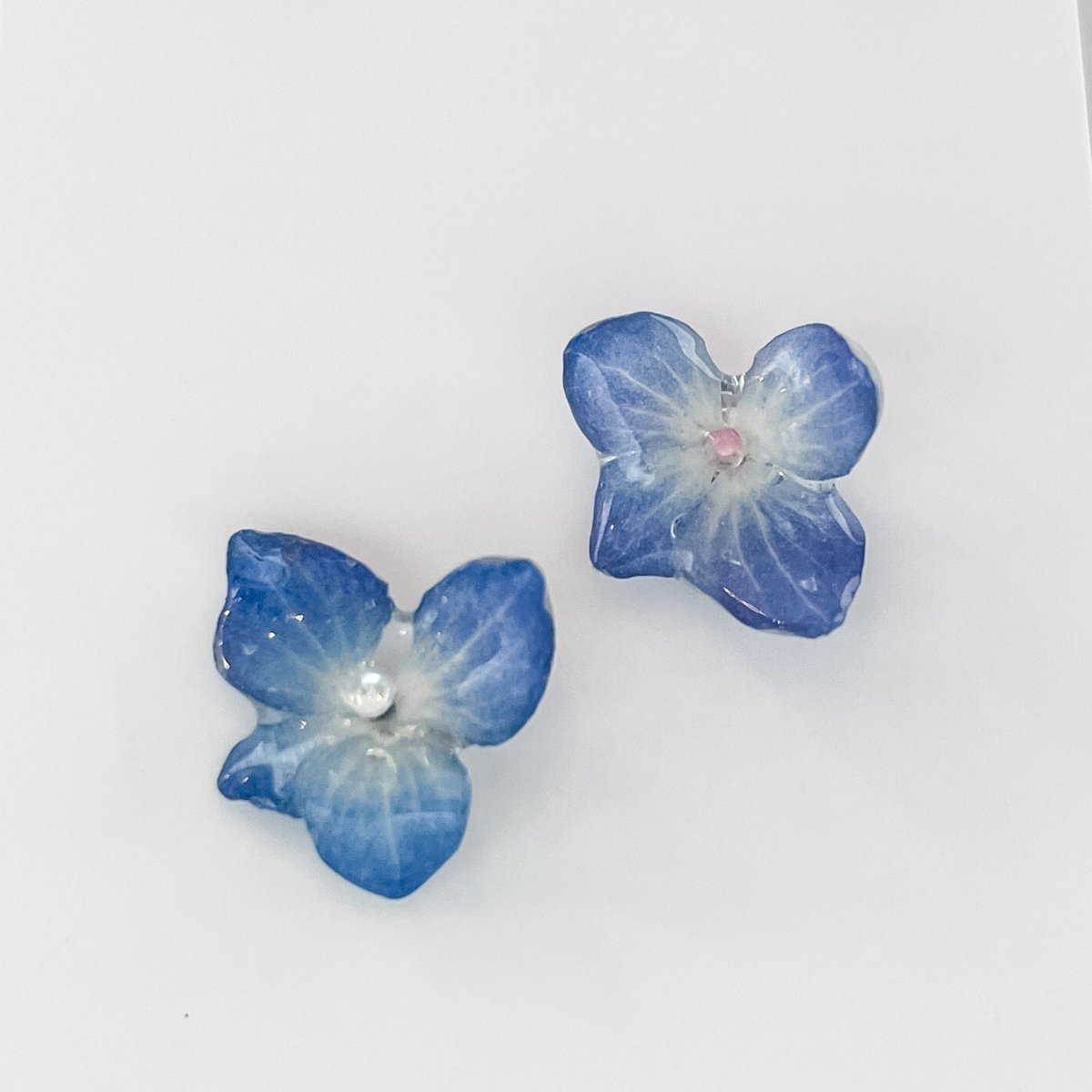 BLÅ HORTENSIA øredobber, ekte 3D - tørkede blomster, 925 sølv ørestift - Øredobber KNASK