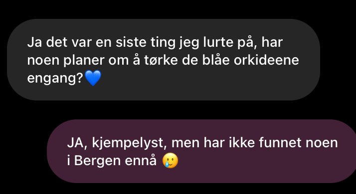 BLÅ ORKIDÉ blomstersmykke, ekte 3D - tørkrt blomst, 925 sølvkjede - Smykke KNASK