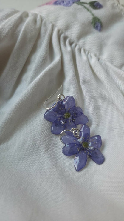 BLÅVEIS øredobber - ekte tørkede blomster - Øredobber KNASK
