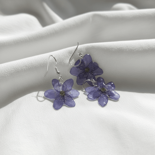 BLÅVEIS øredobber - ekte tørkede blomster - Øredobber KNASK