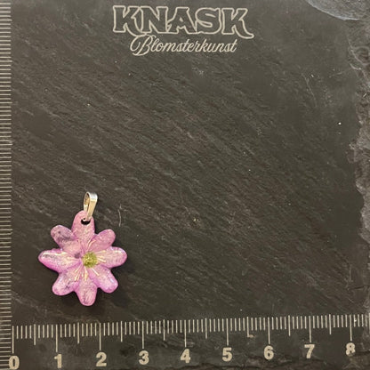 BLÅVEIS smykke - ekte tørket blomst - Smykke KNASK