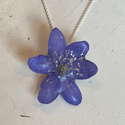 BLÅVEIS smykke - ekte tørket blomst - Smykke KNASK
