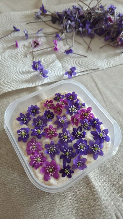 BLÅVEIS smykke - ekte tørket blomst - Smykke KNASK