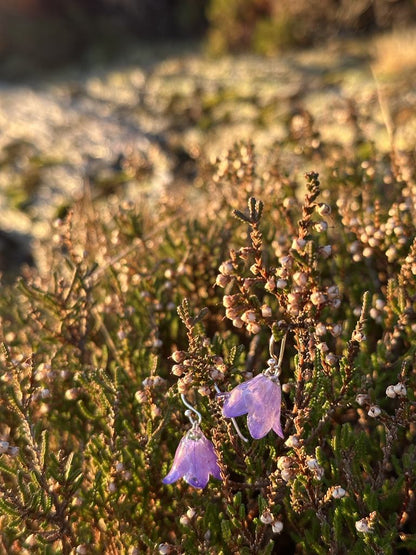 Blåklokker øredobber, 3D sølv - Øredobber KNASK
