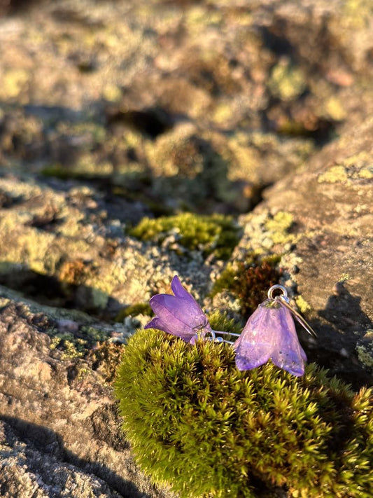 Blåklokker øredobber, 3D sølv - Øredobber KNASK