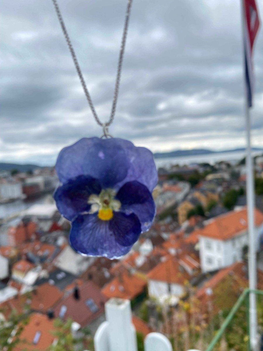 Blåspraglet fiol-smykke, ekte stemorsblomst, 925 sølvkjede - KNASK