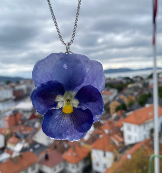 GRIEG BLÅ FIOL blomstersmykke, ekte stemorsblomst, 925 sølvkjede - KNASK