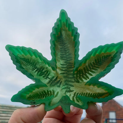 BREGNER skål - Interiør KNASK