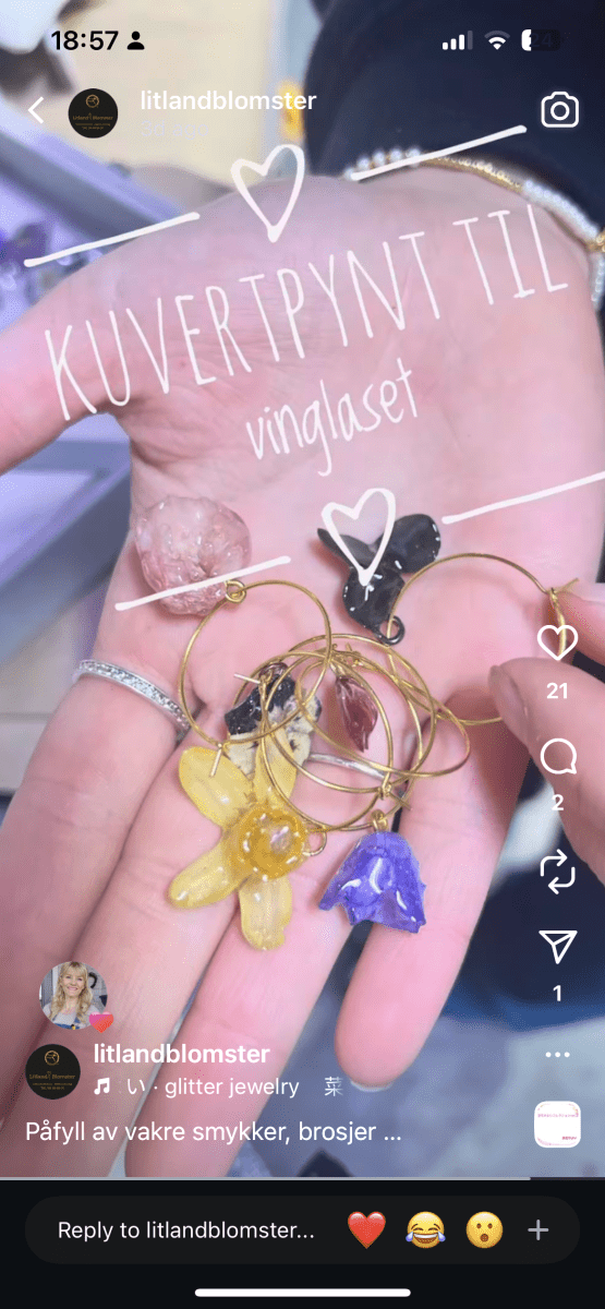 CHARMS til vinglass 🥂 eller strikketøy 🧶 Ekte tørkede blomster - KNASK