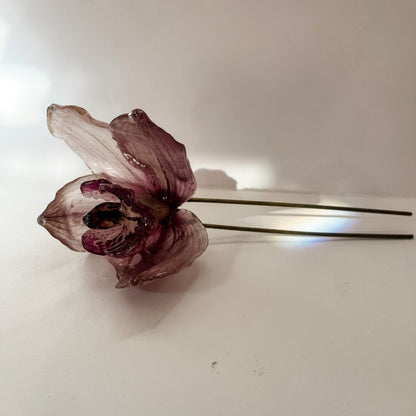 CYMBIDIUM orkidé hårnål, ekte tørket blomst - Hårpynt KNASK