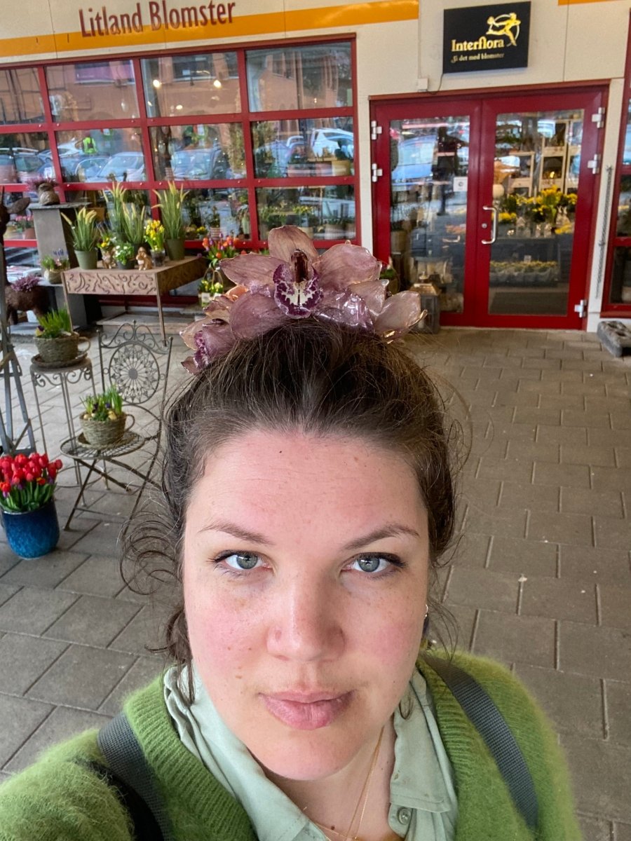 CYMBIDIUM orkidé - KNASK