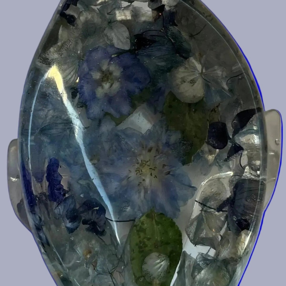 DELFINIUM såpeskål - ekte tørkede blomster - Interiør KNASK