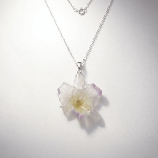 DENDROBIUM ORKIDÉ øredobber - ekte tørkede blomster, sølv - Øredobber KNASK